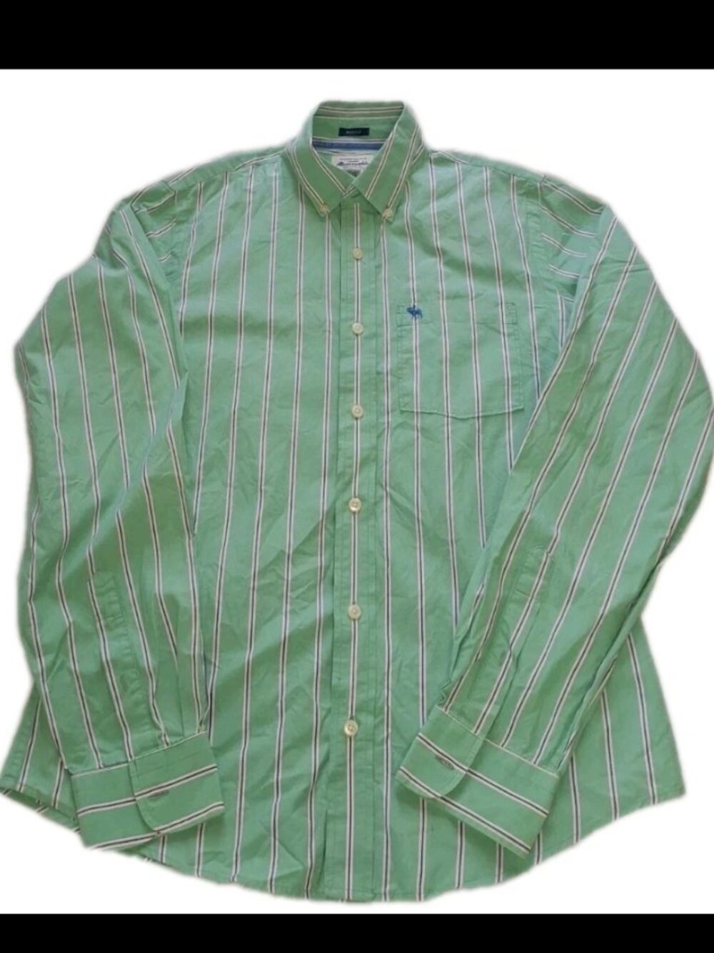 Abercrombie & Fitch Muscle Shirt Men’s Large Green Striped Button Down Cotton L